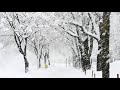 MV「雪風」(2005、詩・曲:KAN)