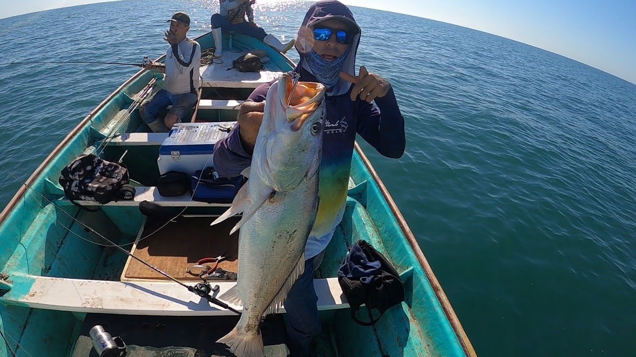 Asi puedes Pescar Curvinas Grandes