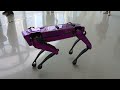 Dubai robot, Robo dog, Dubai technology. Dubai museum of technology