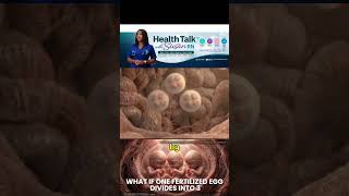 What happen When one fertilized eggs divides into 3 #pregnancy