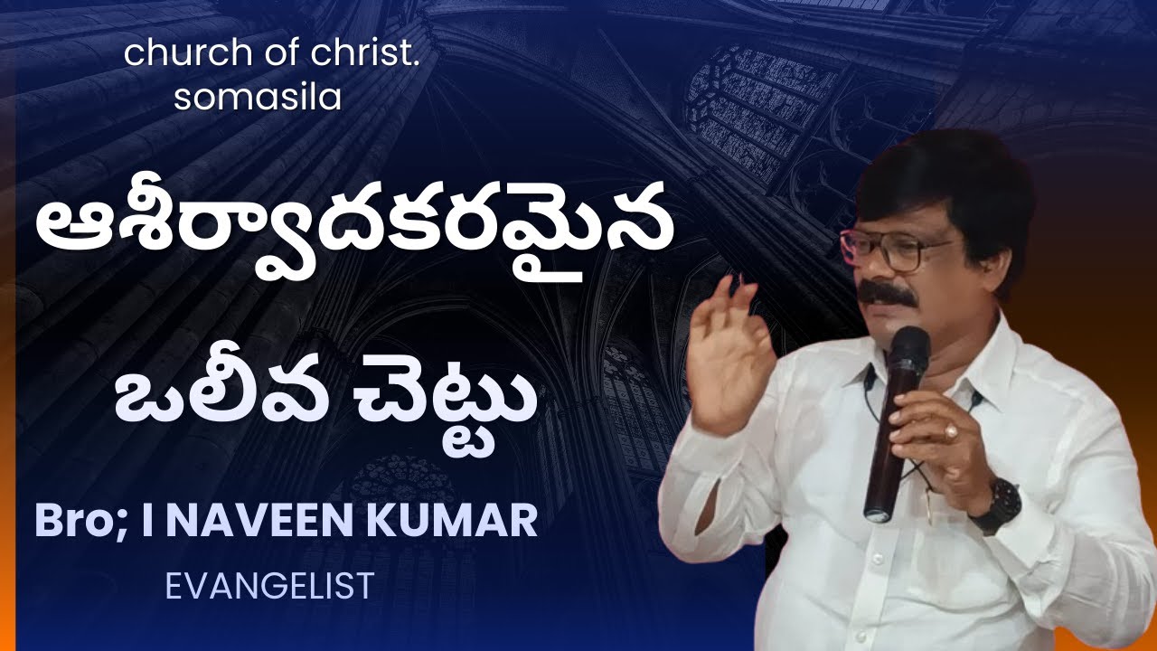 ఆశీర్వాదకరమైన ఒలీవ చెట్టు// Blessed olive tree// /by BROTHER NAVEEN KUMAR SOMASILA  PROJECT