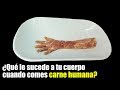 ¿Qué le Sucede a tu Cuerpo Cuando Comes Carne Humana?