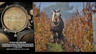 🍷 La Clef des Terroirs 🎥 Documentary film