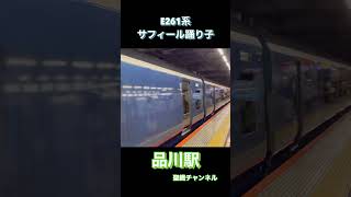 E261系特急サフィール踊り子　品川駅にて