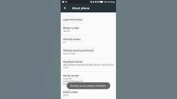 OEM unlocking and USB debugging the use of restore