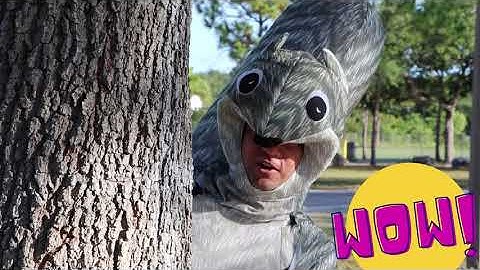 Tails and Tales Summer Reading Program!