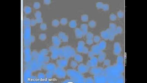 Fluid Sim V2: Smoothed Particle Hydrodynamics, before tuning