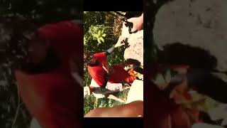 Yüksekten Atlıyan Çocuk Kan Kustu