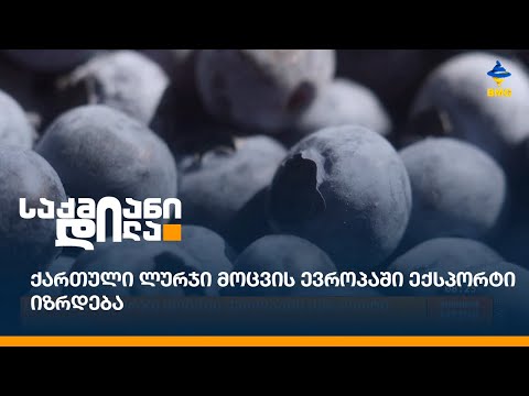 ქართული ლურჯი მოცვის ევროპაში ექსპორტი იზრდება