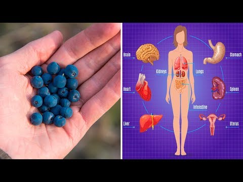 7 Proven Health Benefits of Blueberries