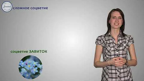 Биология 6кл Соцветие