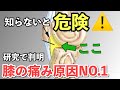 膝の痛みを治すなら絶対に知っておくべき『膝蓋下脂肪体』