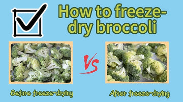 How to freeze dry broccoli, cauliflower etc. vegetables by a freeze dryer?