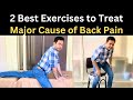 Major cause of Back Pain, Low Back Pain Treatment, Back Pain while Sitting and Standing, 2 Exercises