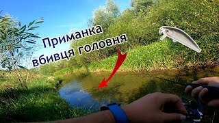 видео: ГОЛАВЛИНЕ ЕЛЬДОРАДО! Мустанг розриває на Бистриці! картинка: ГОЛАВЛИНЕ ЕЛЬДОРАДО! Мустанг розриває на Бистриці!