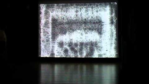 dies_ magnetic variations 2011.mp4
