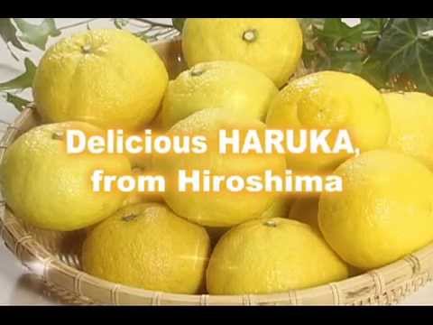 HARUKA　～serving suggestion～　English ver.　（はるかの食べ方）