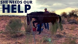 TREATING A PAINFUL ABSCESS