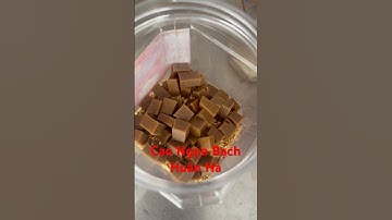 Hướng dẫn dùng Cao Ngựa Bạch mỗi ngày