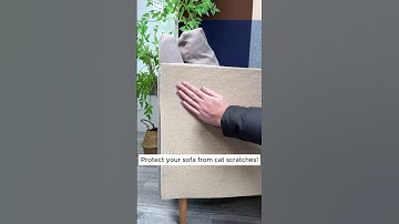 Keep Your Sofa Looking New – Protect from Cat Scratches!  #cat #couch