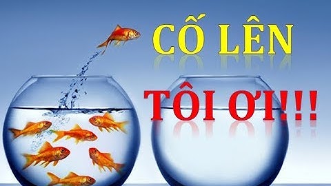 THÀNH CÔNG Chỉ Dành Cho Những Người CỐ GẮNG & NỖ LỰC | IV HẠNH PHÚC