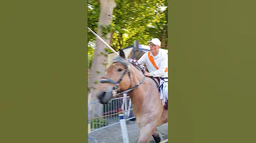?? Ringrijden Grijpskerke ????  Nederland @TravelwithHugoF  #ringrijden #horses #grijpskerke