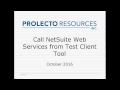 NetSuite Web Services API Call Prolecto