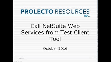 NetSuite Web Services API Call Prolecto