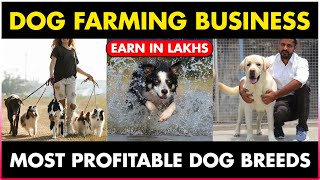 Most Profitable Dog Farming Business Breeds | Most Profitable Dog Breeding Business Ideas