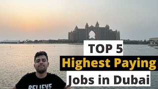 Top 5 Highest Paying Jobs in Dubai for Freshers IN 2022