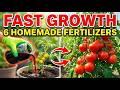 6 Homemade Liquid Fertilizers That Beat Miracle-Gro for Fast Growth | Natural Fertilizer