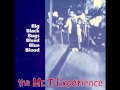 Mr. T Experience - The End of the Ramones