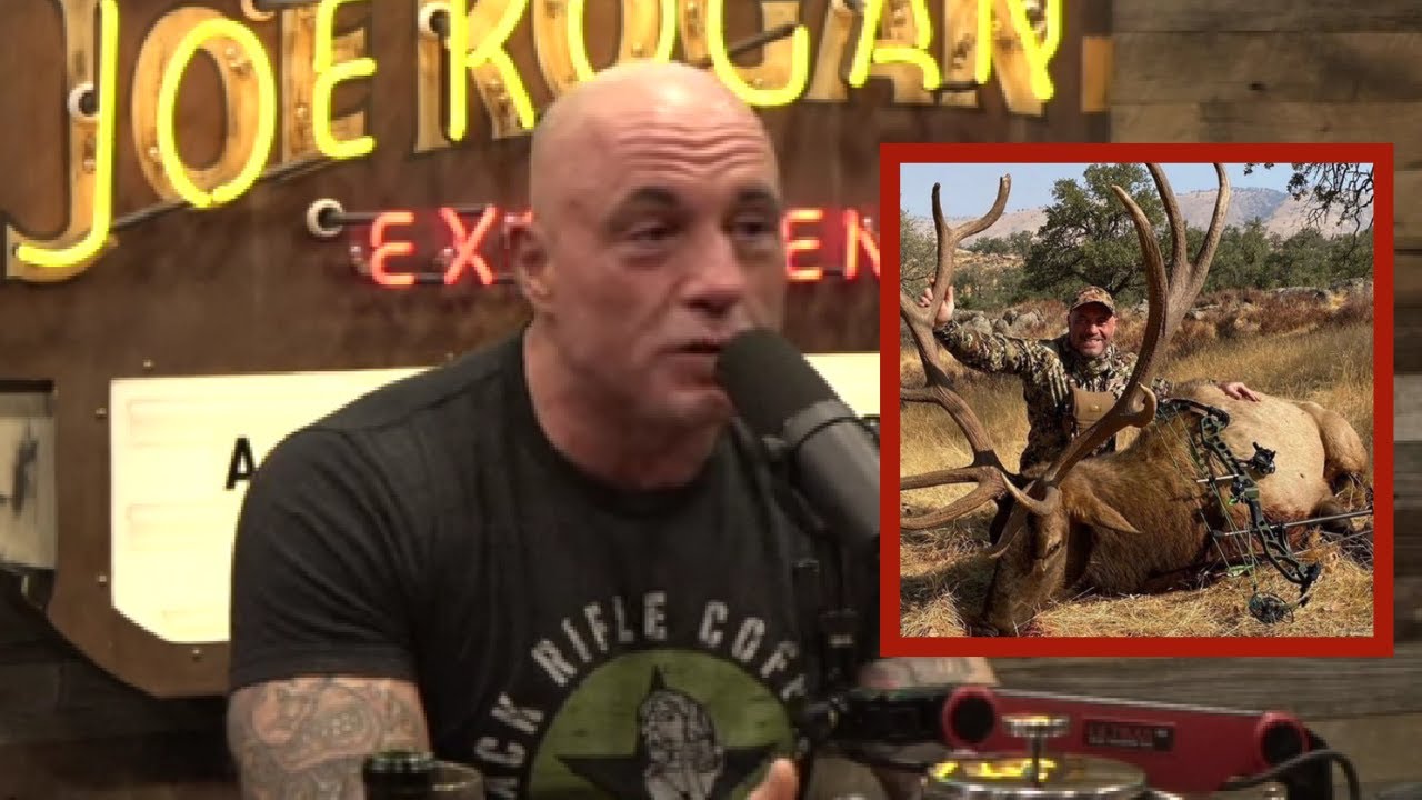 Joe Rogan Hunting Joe Rogan on Elk Hunting. - YouTube