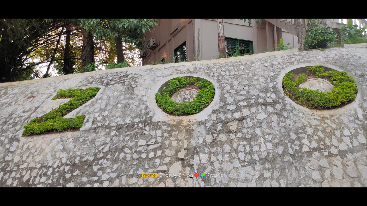 Abidjan Zoo I National Park I Vacation Trip I Ivory Coast I West Africa 🌍