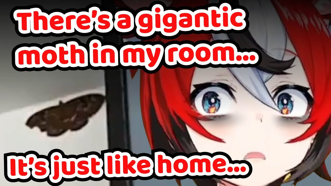 Bae Experienced Australia All Over Again in Japan