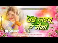 ud jaibu a maina dj remix | nirahua, amarpali | dilwa me ghar tu banaike ud jaibu ye sona Dj Sunny
