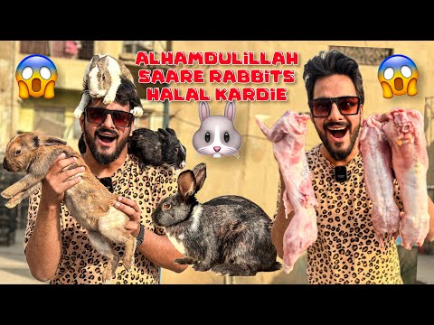 Alhamdulillah 3000 k RABBITS ZIBAH KARDIE😱| MISHKAT KHAN | The Fun Fin