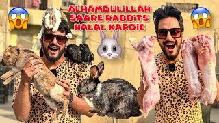 Alhamdulillah 3000 k RABBITS ZIBAH KARDIE😱| MISHKAT KHAN | The Fun Fin