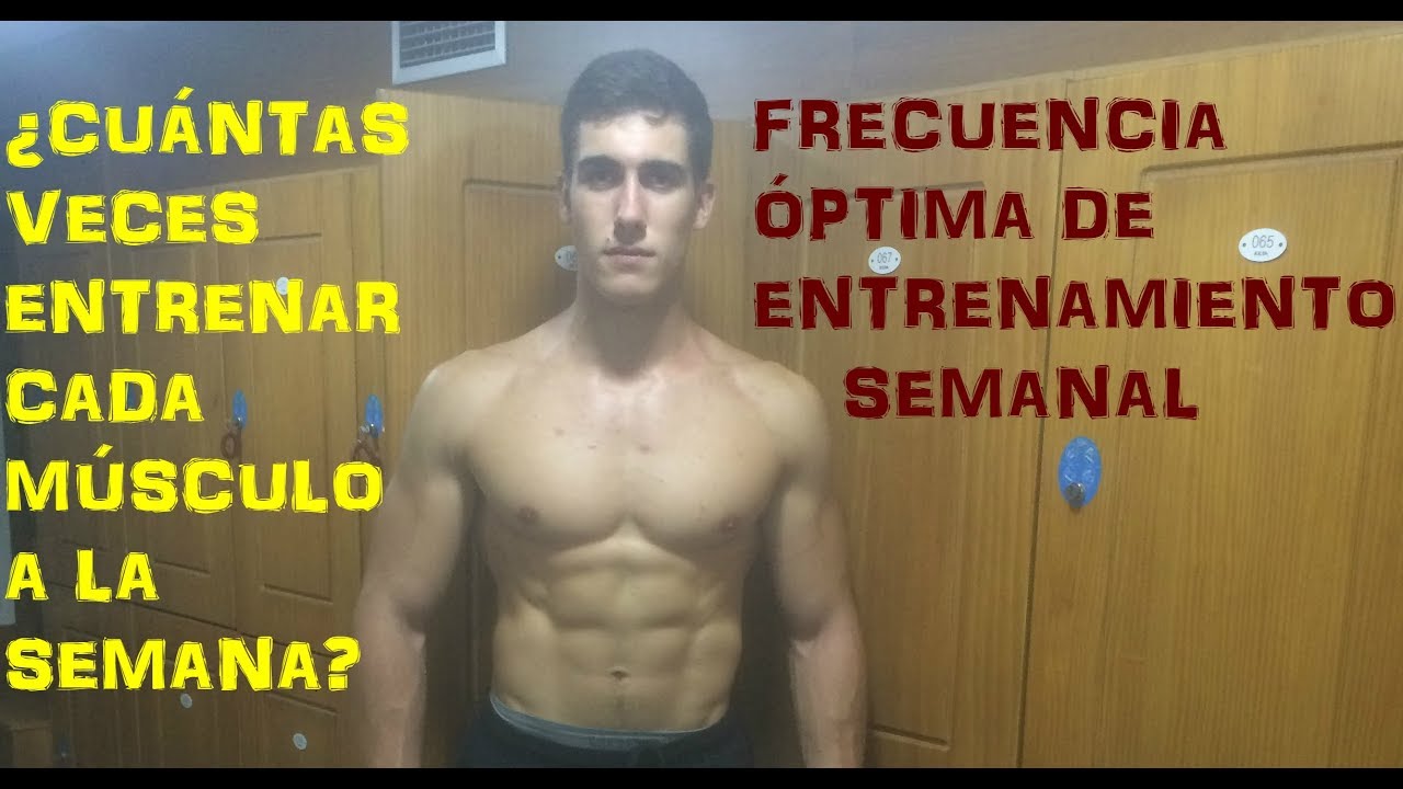 Rutina un musculo por dia volumen