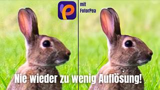Auflösung & Bildqualität verbessern mit HitPaw FotorPea