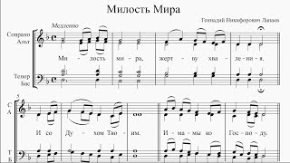 Милость Мира (Г. Н. Лапаев)