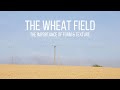 Landscape Photography - The Wheat Field