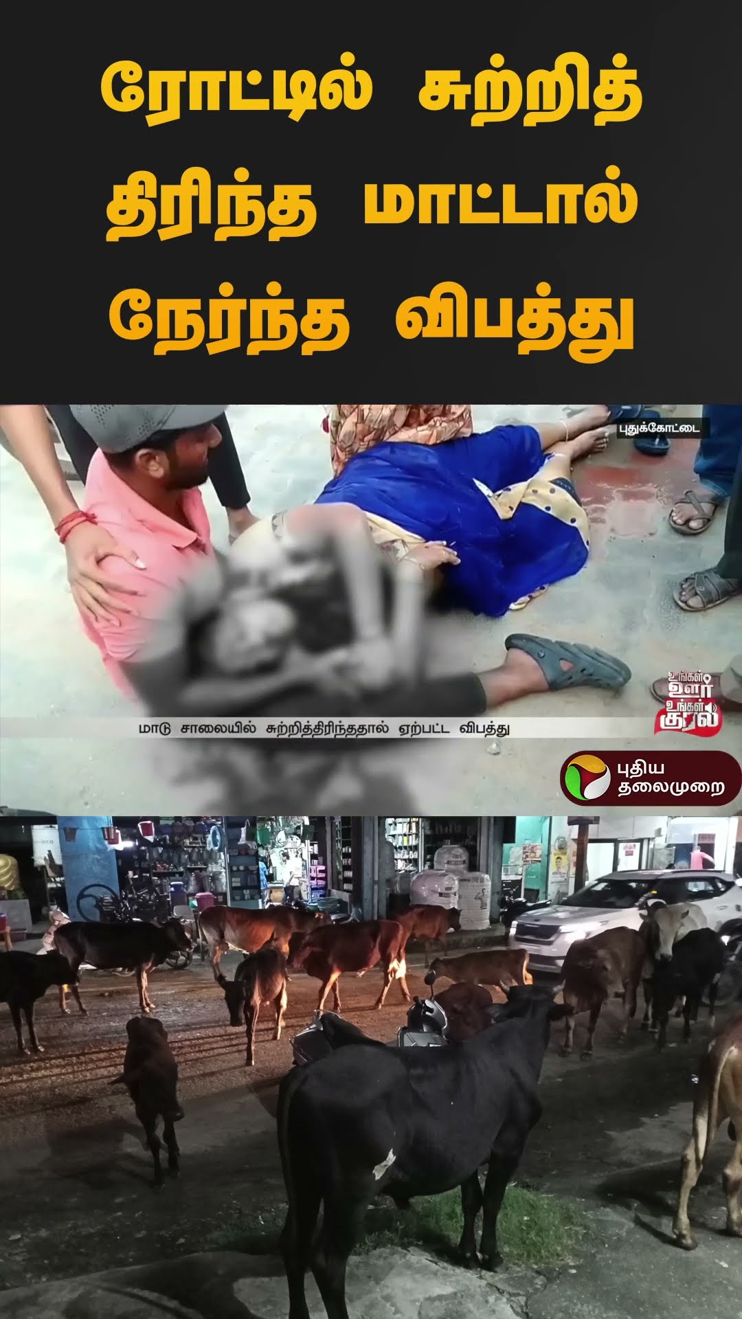 ரோட்டில் சுற்றித் திரிந்த மாட்டால் நேர்ந்த விபத்து | #pudukottai | #cow | #bull | #shorts