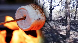 Making SMores Causes 4 Separate Wildfires: Cops