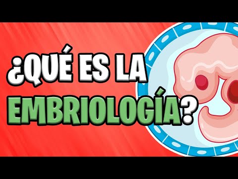 Vídeo: Què significa el terme fecundació?