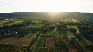 Swan Valley Wine Region History In The Making