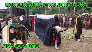 Bantengan ngamuk Putro Jati Agung ada GUS BAS Live segunung jatirejo