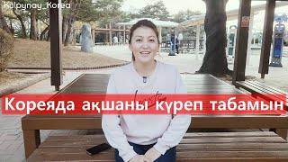 Кореяда ақша табу оңай ма? Кореяда жұмыс жасап ақшаны күреп тауып жүрсің