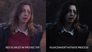 FILMCONVERT NITRATE IS STILL AWESOME: The convenience of digital with the look of film