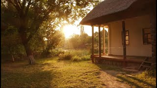 CALM CANVAS: Tranquil Harmony &Peaceful Reverie